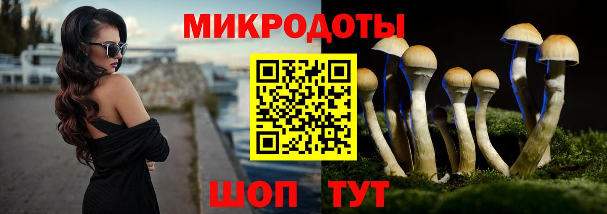 Галлюциногенные грибы Psilocybe Саянск