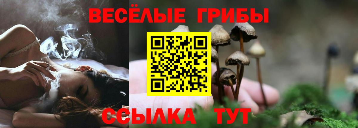 Псилоцибиновые грибы ЛСД  Вход с VPN  Псилоцибиновые грибы Magic Shrooms  Саянск 